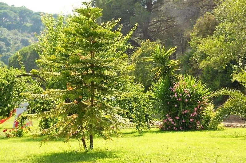 Hotel Villa Rodriguez Capoliveri  Capoliveri (Isola d'Elba)