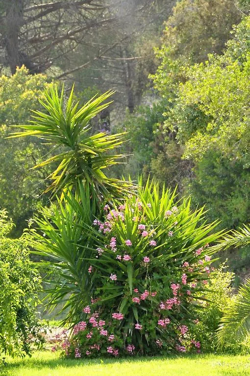Hotel Villa Rodriguez Capoliveri (Isola d'Elba)
